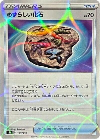 Rare Fossil