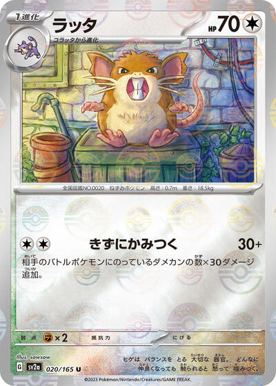 Raticate