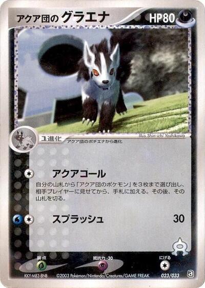 Team Aqua's Mightyena