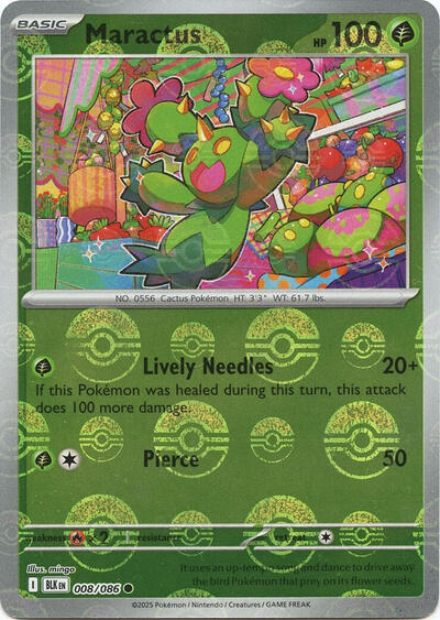Maractus