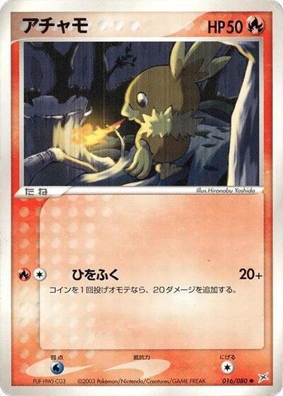 Torchic