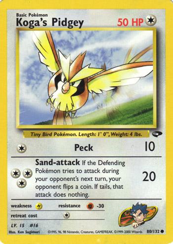 Koga's Pidgey